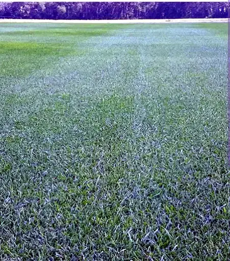 Lawn & garden care