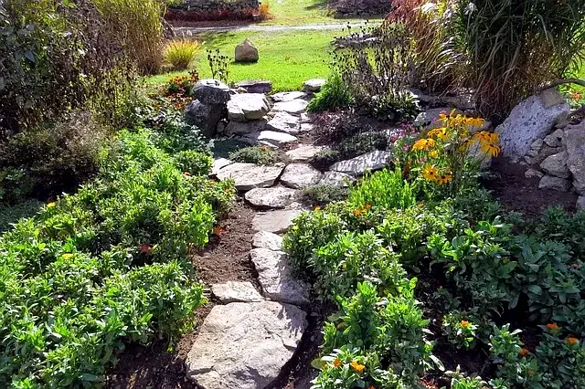Natural stone path bordered by a planted garden
